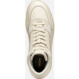 Geox Cream men's sneakers Sedral Court - Men's | Shoptok.si