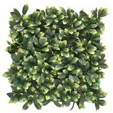 STIL Dekoracija za vrt umjetni zidni panel lovor 50x50 cm CCGA034U | shoptok.hr