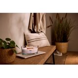 WoodWick Rose Blush dišeča sveča z lesenim stenjem 453.6 g | Shoptok.si