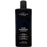  Renee Blanche HAUTE COIFFURE Gloss Illuminate Shampoo 250ml – Šampon za kosu sa efektom posvetljavanja Cene
