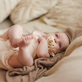 BabyOno Take Care Anatomical Silicone Soothers duda Night & Day 0-6m 2 kos | Shoptok.si