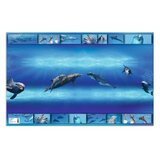 Herma Podloga za sto Delfin 550x350mm šarena | ePonuda.com