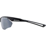  ALPINA SPORTS kolesarska očala Nylos HR | Shoptok.si