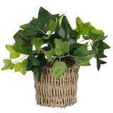  Umjetna biljka Bršljan (Ø x V: 12 x 33 cm, Plastika) | shoptok.hr