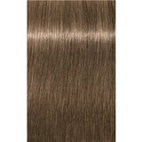 Schwarzkopf igora Royal - 8-0 svetlo blond, 60 ml | Shoptok.si