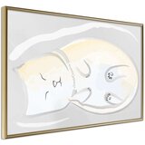  Poster - Happy Kitty 60x40 Cijene