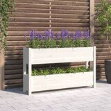 vidaXL Sadilica bijela 112x25x66 cm od masivne borovine Cijene