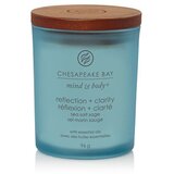 Chesapeake Bay Candle Mind & Body Reflection & Clarity mirisna svijeća 96 g Cijene