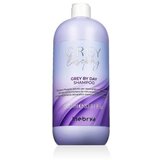 Inebrya GREYlosophy Grey By Day Shampoo 1000 ml nježni tonirajući šampon za prirodno sijedu i posvijetljenu kosu unisex Cijene