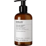 Joyful Light Aromatic Hand & Body Wash - 250 ml