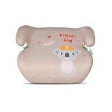 Lorelli ORION booster 125-150 cm, Grey Bear | shoptok.hr