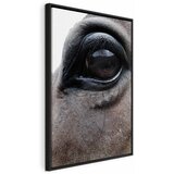  Slika - Honest Eyes (1 Part) Vertical 40x60 U crnom drvenom okviru | shoptok.hr