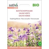Sativa Ekološki enoletni cvet "Salvia hormiun" Cene