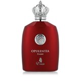 Parfem Opulentia Flame 100 ml parfumska voda za moške | Shoptok.si