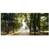  Samoljepljiva foto tapeta - Morning Walk III 588x280 | shoptok.hr