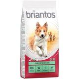 briantos 14/12 kg suha hrana po posebni ceni! - Adult jagnjetina & riž 14 kg Cene