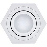 SPOT svetlo ARENO 1xGU10/30W/230V belo | Eponuda.com