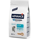 Affinity Advance Advance Kitten - Varčno pakiranje: 2 x 1,5 kg Cene