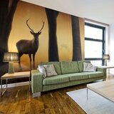  Tapeta - Deer in his natural habitat 250x193 Cijene