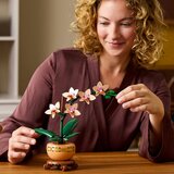 Lego Botanical Collection 10343 Mini orhideja, (21682054) | Shoptok.si