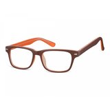 Berkeley naočare za kompjuter CP156 B | ePonuda.com