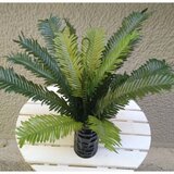  Buket cikas palme, precnik 53cm Cene