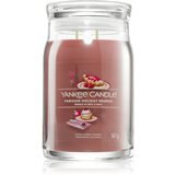 Yankee Candle Parisian Holiday Brunch dišeča sveča 567 g | Shoptok.si