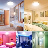 Lepro Wi-Fi RGB pametna LED stropna svetilka | Shoptok.si