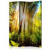  Paravan u 3 dijela - Forest Hideout [Room Dividers] 135x172 Cijene