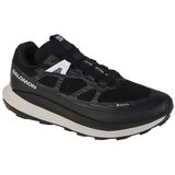 Salomon ultra glide 2 gtx 472166 Cijene