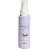 Ionski higijenski sprej - 100 ml