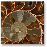  Slike na platnu inspiracija (moderne slike na platnu) | ePonuda.com