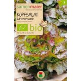 Samen Maier Bio glavnata solata "Wintermarie" Cene