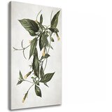  Slike na platnu biljke 012 (moderne slike na platnu) | ePonuda.com