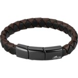 Lotus LS2531-2-1 | Shoptok.si