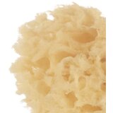 Jane Natural spužva za kupanje | Eponuda.com