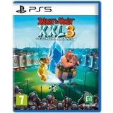  Asterix and Obelix XXL 3: The Crystal Menhir Limited Edition /PS5 () | Eponuda.ba