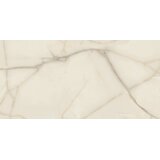 Azulejos Benadresa newbury pulido 120x240 Cene