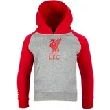 Liverpool Grey dječji pulover sa kapuljačom N°4