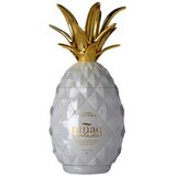 PINAQ Koktel colada 1l Cene
