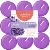 Dišeče čajne lučke True Scents 4h (18 kosov) - sivka