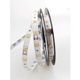 Mitea Lighting MLR-2835-60 amber led traka 5m 12V 4,8W 60 LED/1m IP20 | Eponuda.com