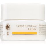 Dr. Hauschka Eye And Lip Care balzam za ustnice z hranilnim učinkom 4,5 ml Cene