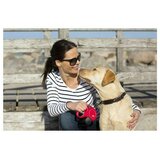 Povodac za pse Trixie NEW CLASSIC | shoptok.hr