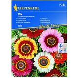 KIEPENKERL Sjeme cvijeća Krizantema Mix (Chrysantemum carinatum, Raznobojno) | shoptok.hr