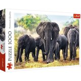 Trefl puzzle slonovi, 1000 kom | shoptok.hr