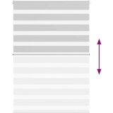 vidaXL Zavjesa zebra 100x100 cm širina tkanine 95,9 cm poliester | shoptok.hr