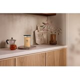 WoodWick Tangerine & Citron dišeča sveča z lesenim stenjem 610 g | Shoptok.si
