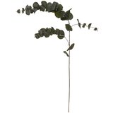 Atmosphera Grana eukaliptus 12x12x118cm poliester/PE/metal zelena (185478) | ePonuda.com