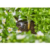 Gardena Micro-Drip-System Set za visokih navodnjavanje kapanjem greda / greda (35 biljaka), 13455-20 | shoptok.hr
